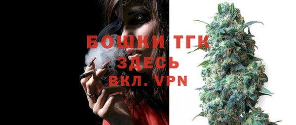 спиды Аркадак