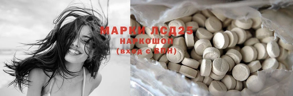 спиды Аркадак